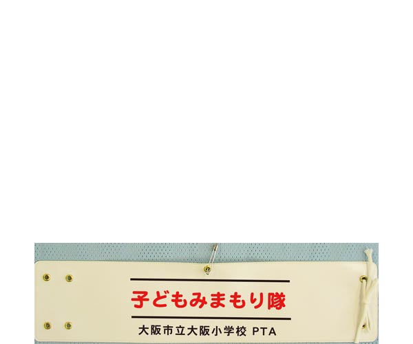 �r�͌��{