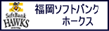 福岡ソフトバンクホークス