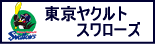 東京ヤクルトスワローズ